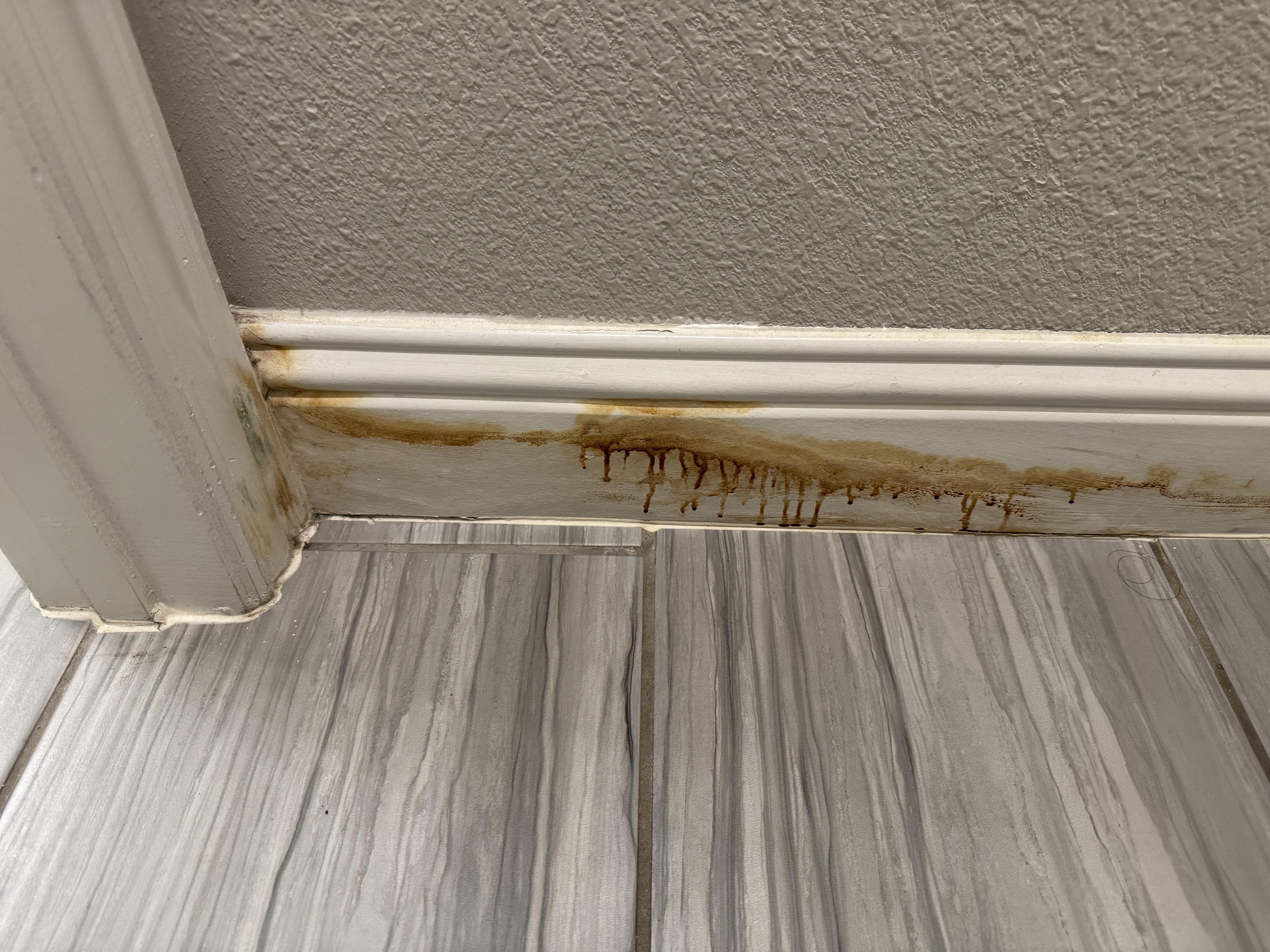 A close-up of a white baseboard with brownish water staining and slight paint bubbling at the floor line in a living room, realistic home photo