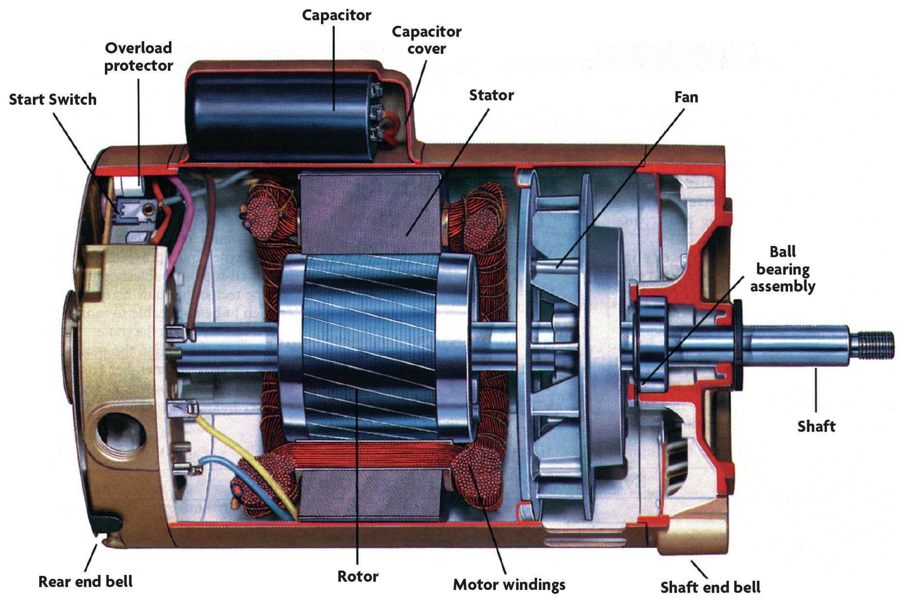 A close-up photo of a pool pump motor label showing model and voltage information on a sunlit equipment pad