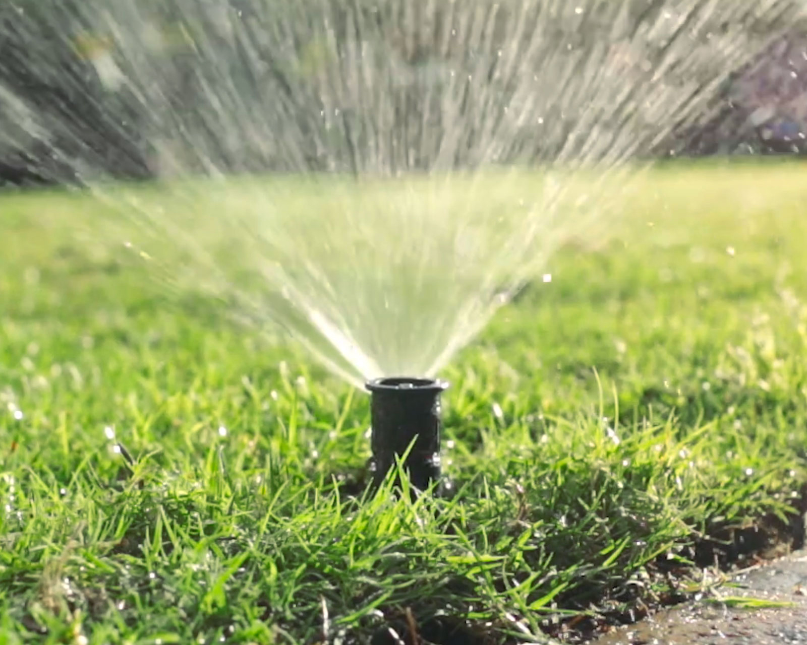 A close-up photo of a pop-up spray sprinkler held above grass while a hand rinses the nozzle and small filter screen with a garden hose