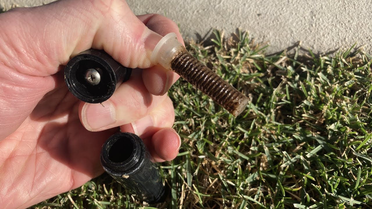 A close-up photo of hands cleaning a pop-up sprinkler head nozzle with dirt on the grass around it in a yard