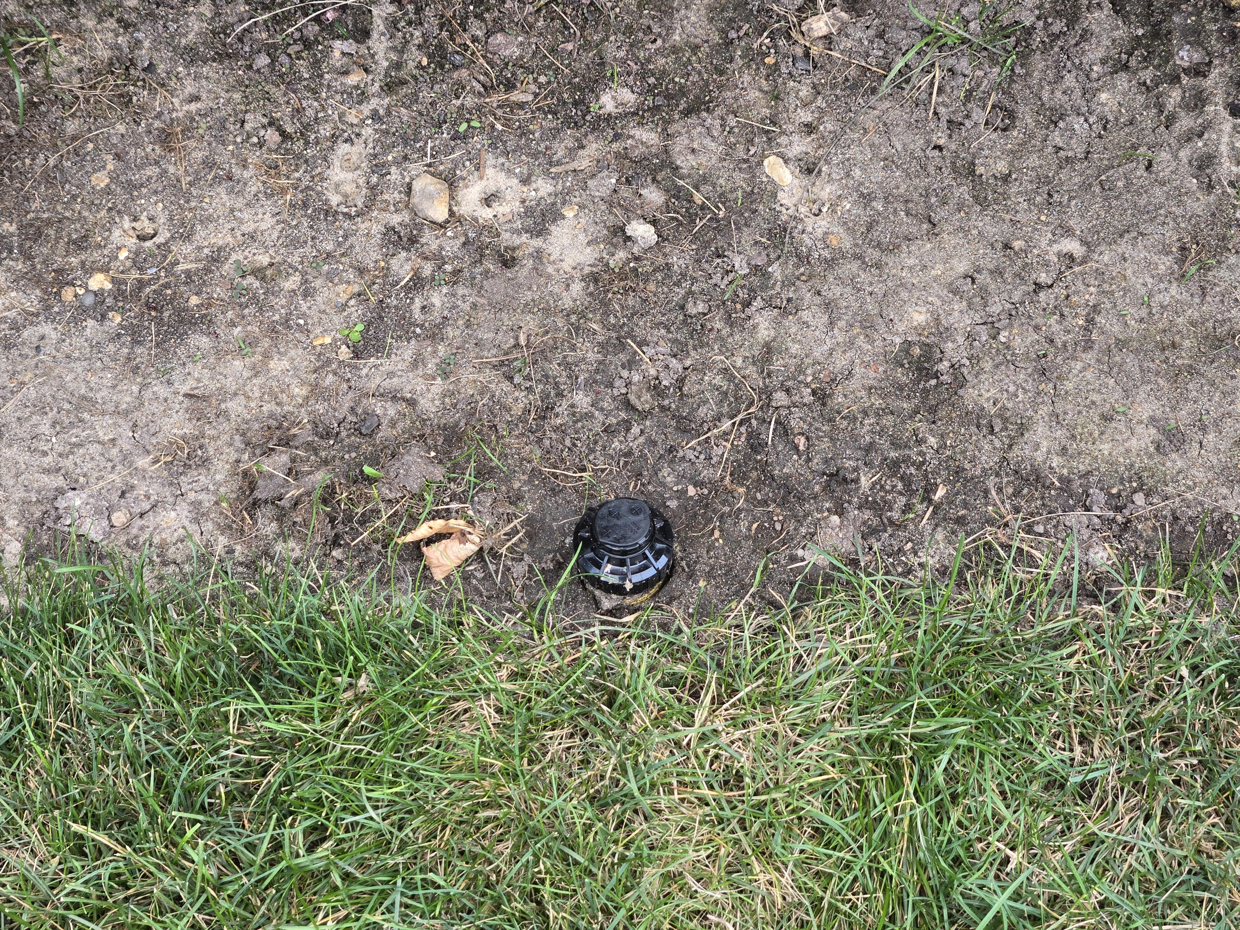 A close-up photo of water bubbling up around the base of a pop-up sprinkler head with muddy soil and grass pulled back