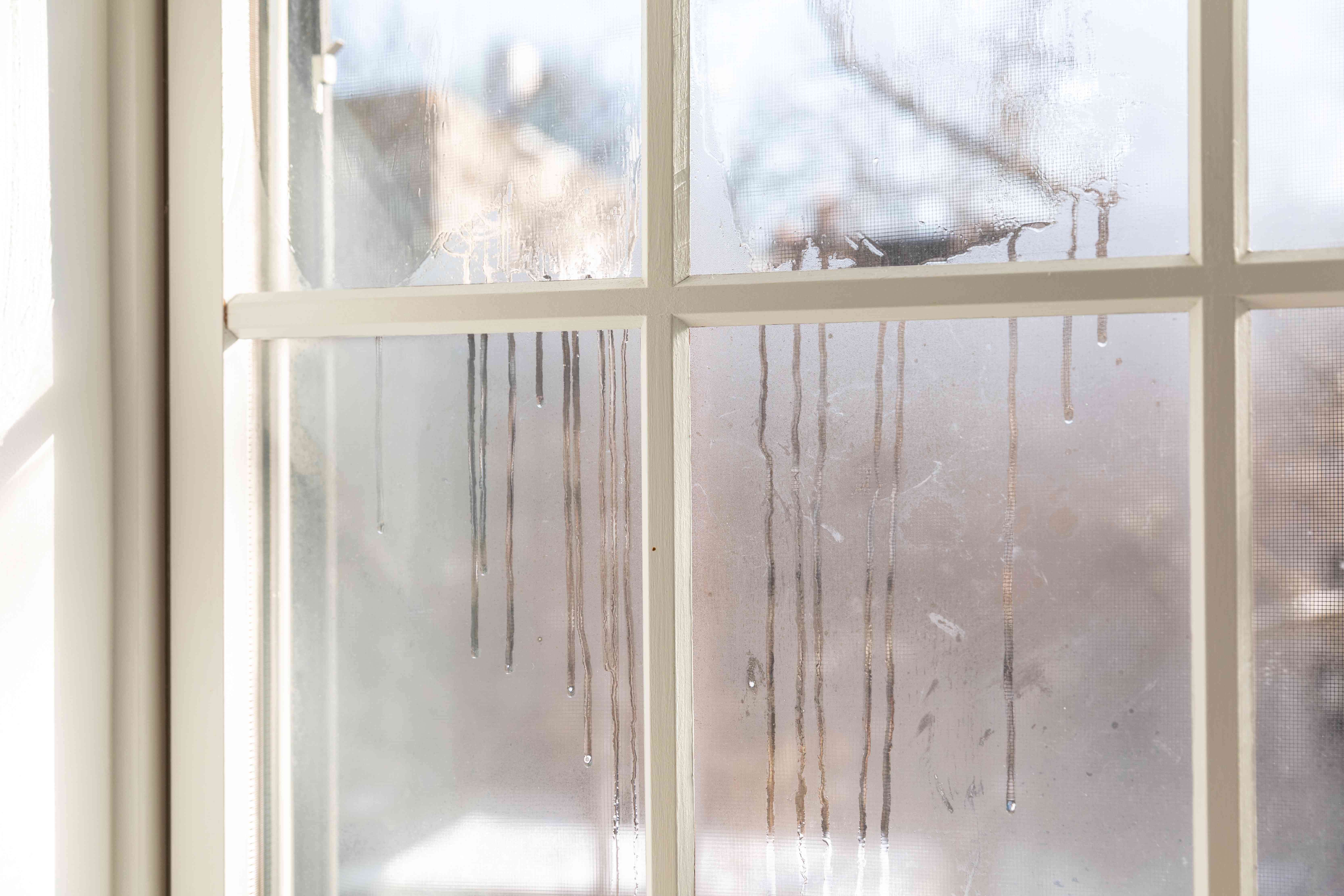 A close-up photograph of a double-pane residential window with a cloudy foggy patch trapped between the two glass panes in daylight