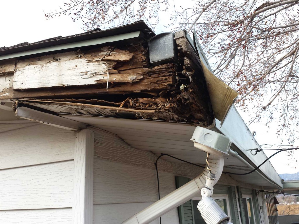 A close-up photograph of a roof edge with a gutter removed, showing dark, softened wood fascia damage and rusty fastener holes