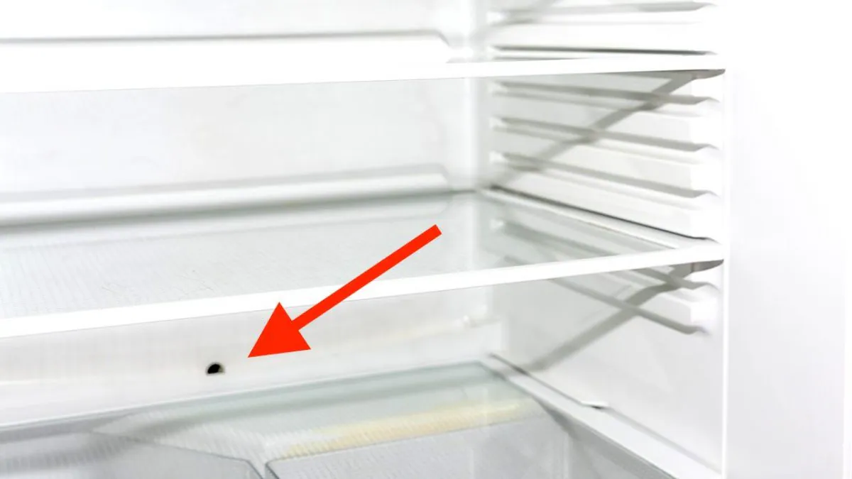 A hand using a turkey baster to flush warm water into a refrigerator defrost drain opening inside the fresh food compartment