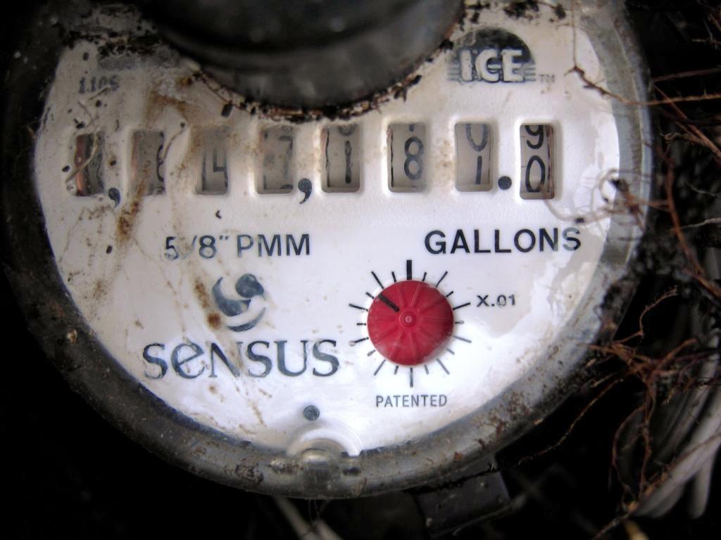 A homeowner crouched beside an outdoor water meter box, looking closely at the small flow indicator inside the meter, realistic home photo