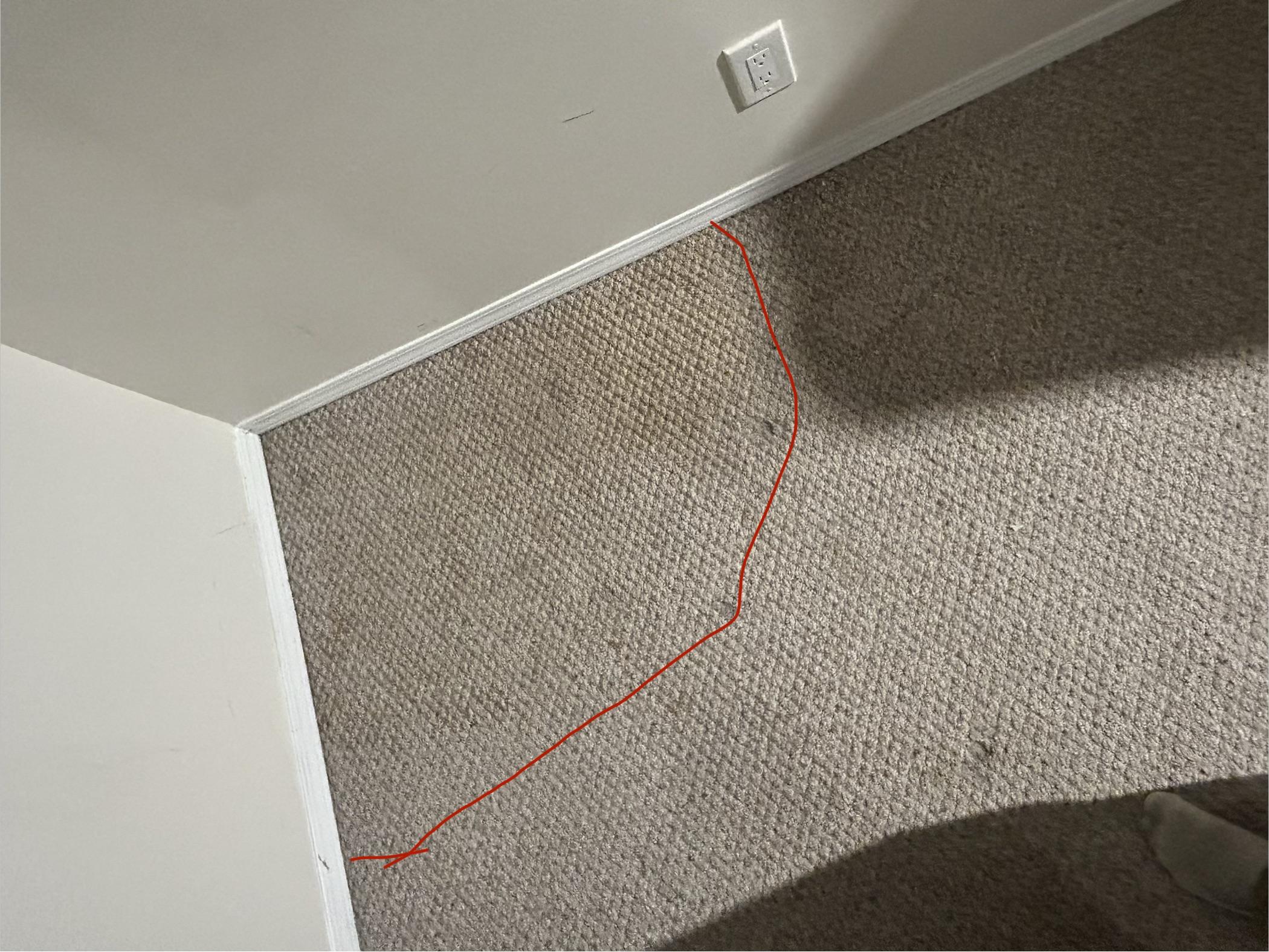 A homeowner kneeling beside a wall to touch damp carpet at the edge of a living room floor, natural indoor light, realistic home photo