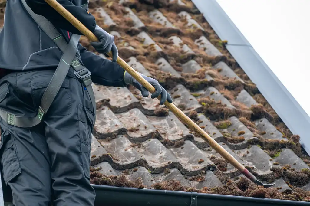A homeowner wearing a safety harness and gloves using a soft brush to gently remove moss from an asphalt shingle roof on a calm, dry day