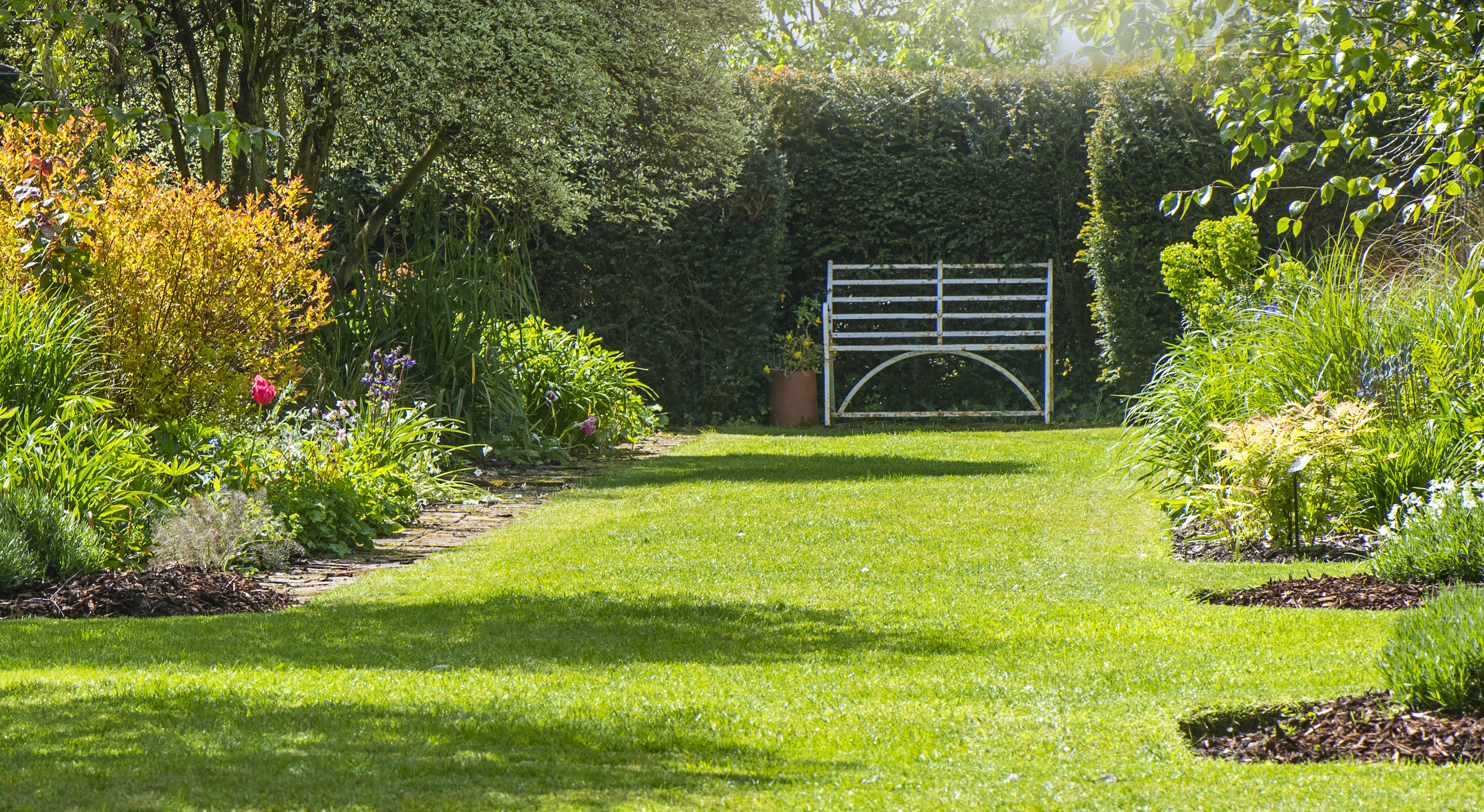 A mower deck cutting a lawn at a taller summer height, with grass blades standing upright and evenly cut
