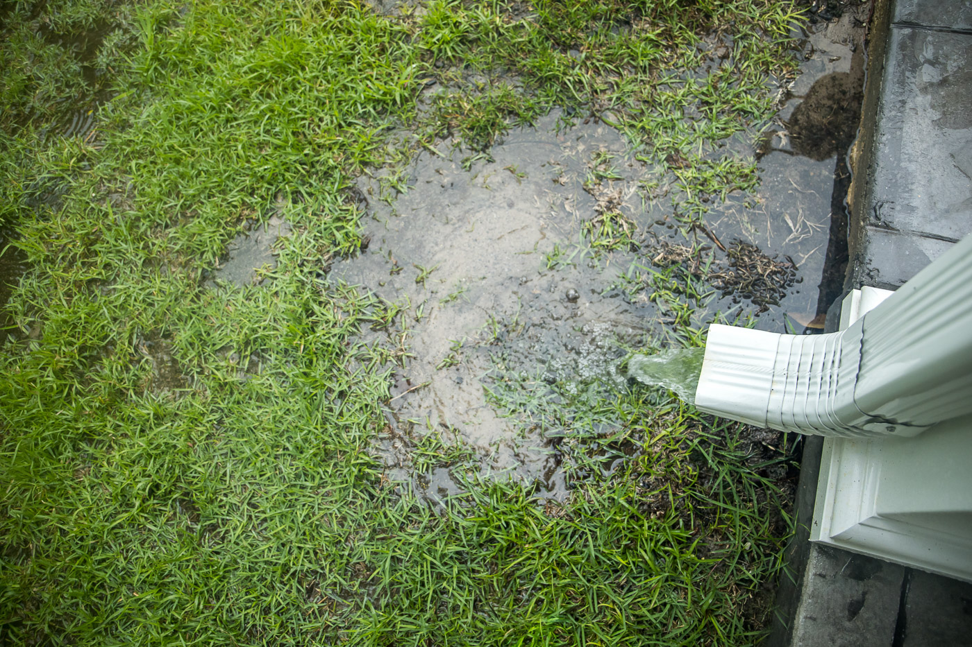 A photo of a downspout ending next to a house foundation with wet soil and splash marks after rain, showing poor drainage