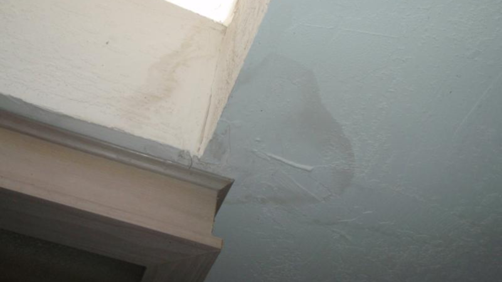 A portable dehumidifier running in a living room beneath a skylight, with a small bucket placed under a damp corner near the skylight frame