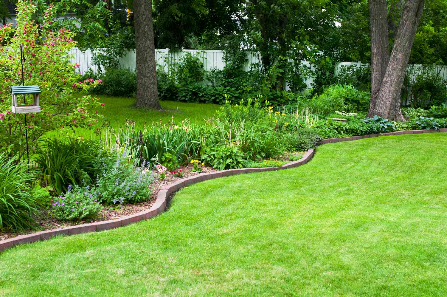 A real backyard photo showing a clean mulch strip bordering a wooded edge, with the lawn set back from the trees to create a dry buffer zone