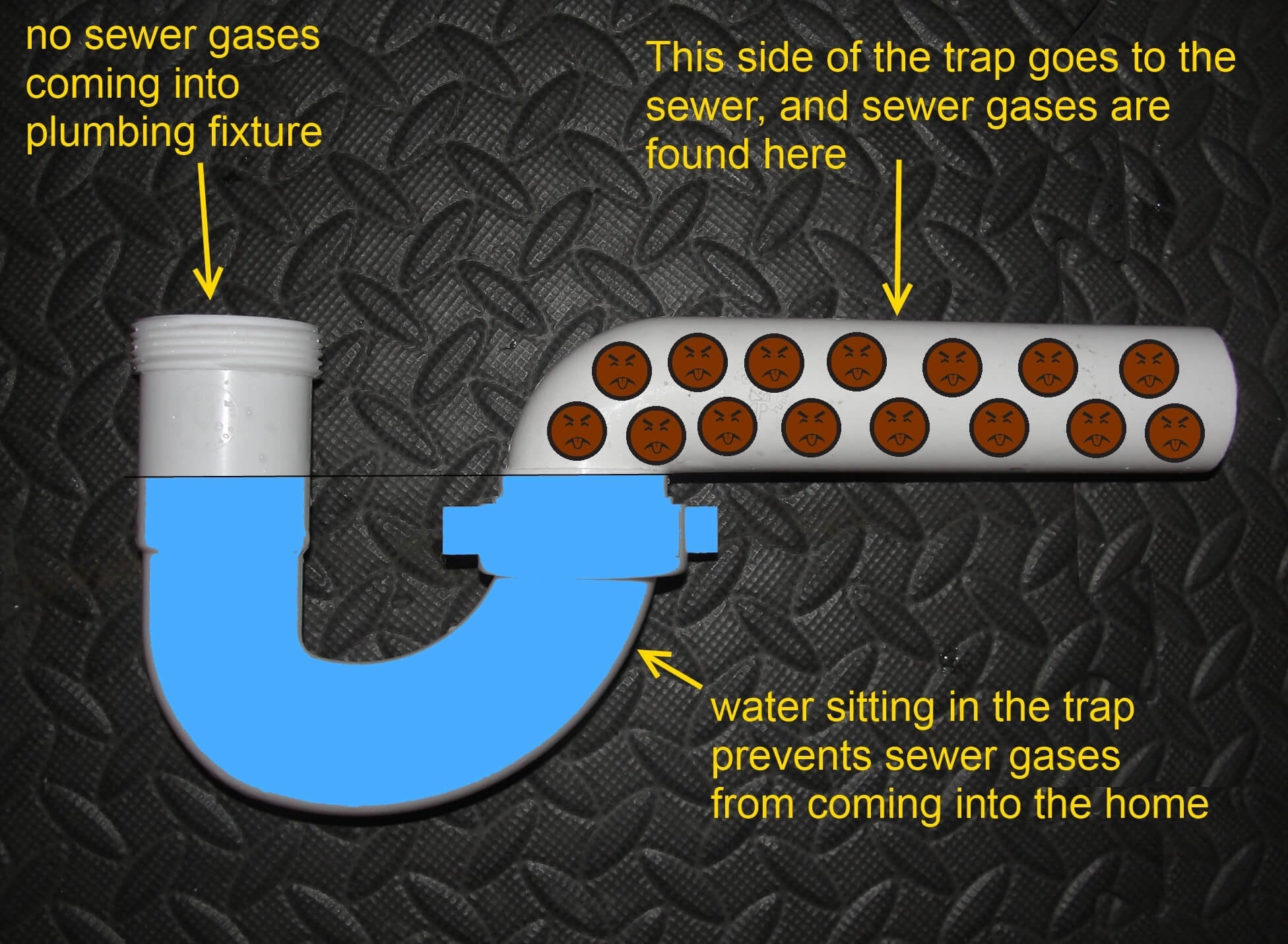 Sewer Gas Smell in Your Basement? Causes and First Steps