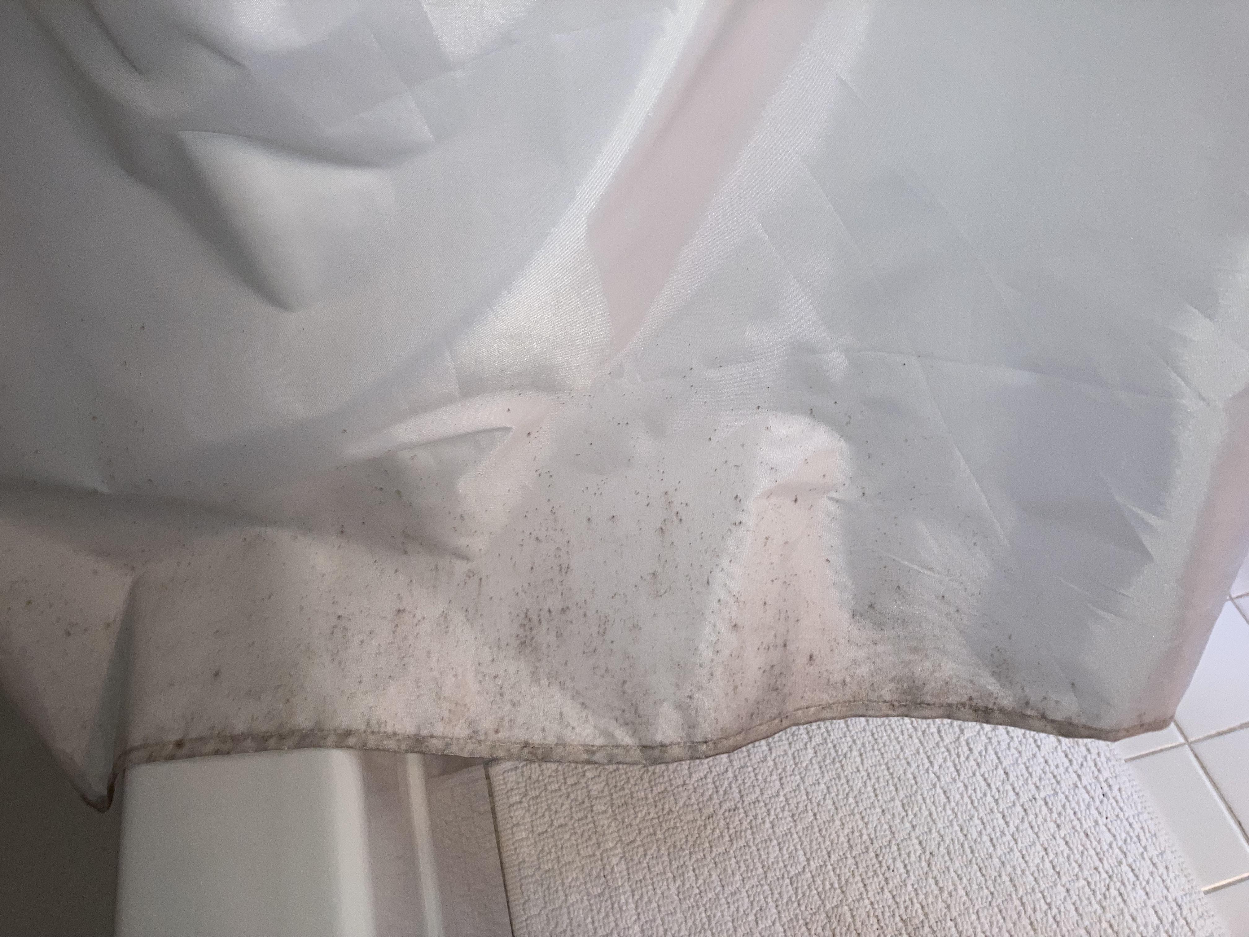 A real bathroom shower with a white plastic liner hanging inside the tub, showing light mildew speckling near the bottom hem, natural indoor lighting