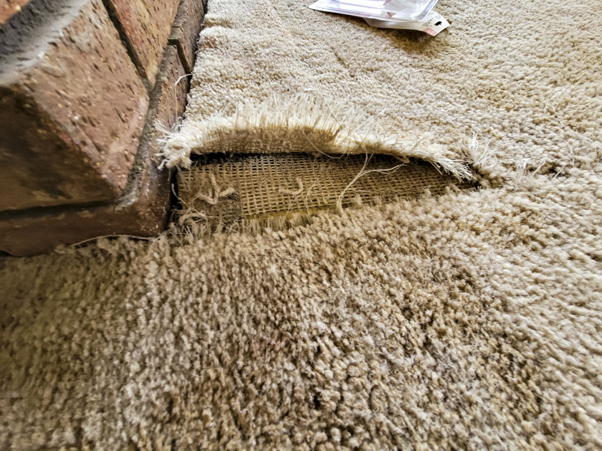 A real close-up photo of carpet backing separating from the carpet layer near an edge, showing loose material and deterioration, indoor repair setting