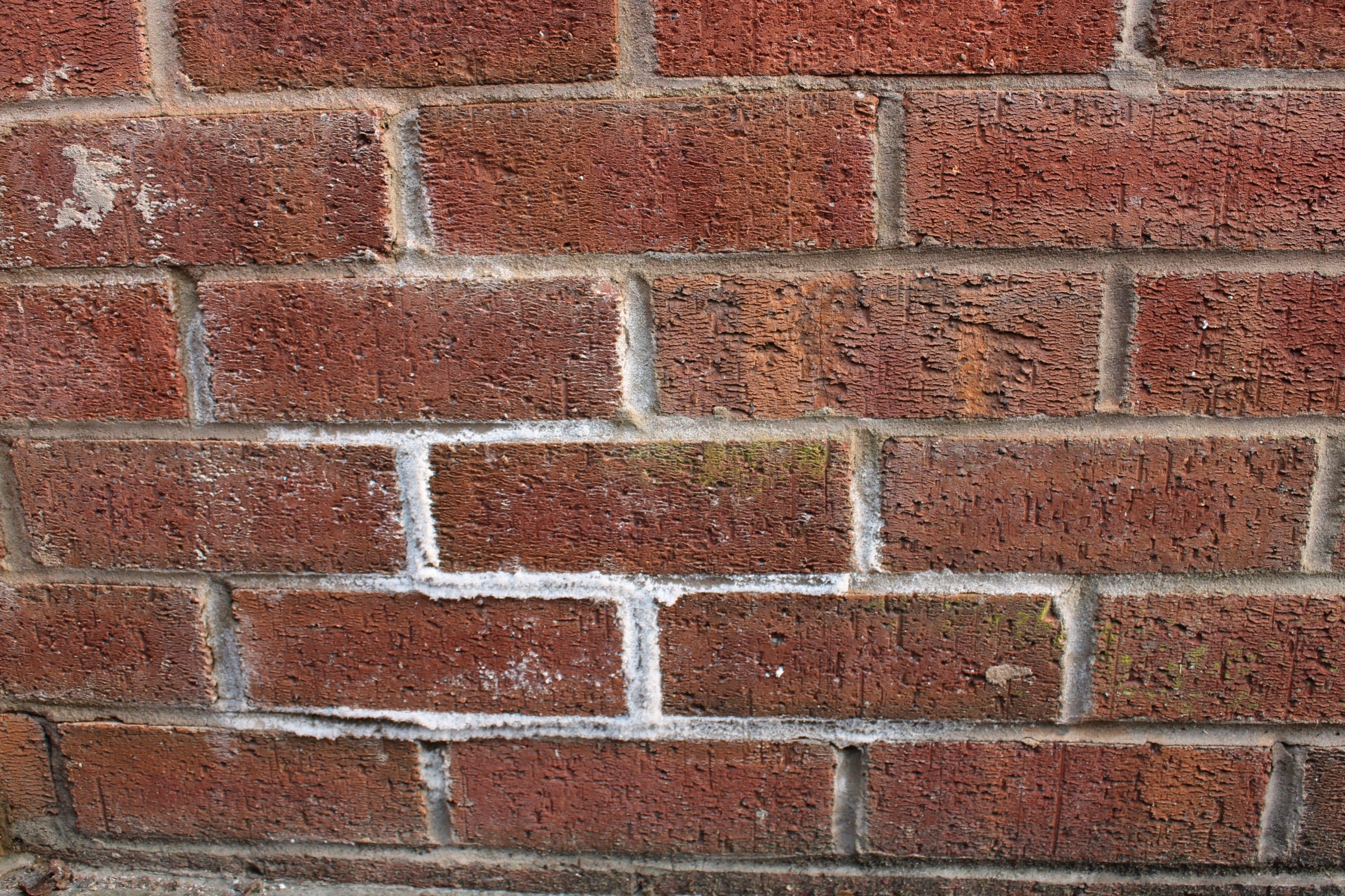 A real close-up photograph of red brick with a chalky white powdery film and crusty streaks on the surface in natural daylight