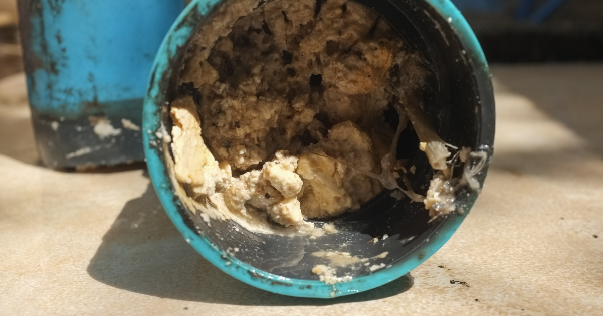 A real kitchen sink drain opening with visible brown grease residue around the strainer and standing water in the basin