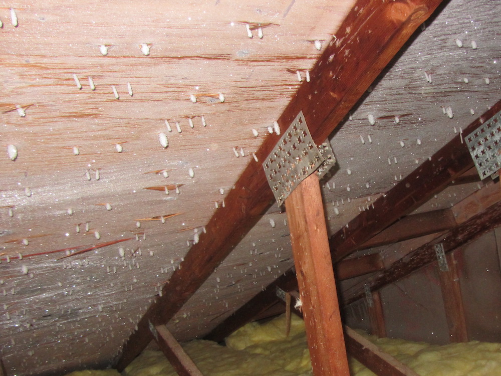 A real photo inside a residential attic in winter showing white frost coating roof sheathing and nail tips above insulation