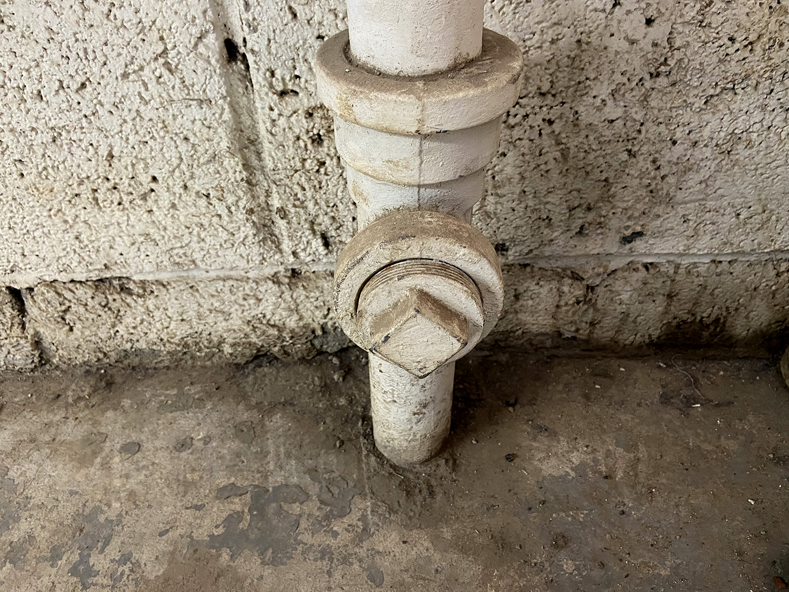 A real photo of a home main drain cleanout fitting near a basement wall with a threaded cap, typical residential plumbing scene