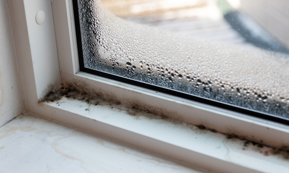 A real photo of a home window sill with small black mold spots along the lower corners near the frame, with visible condensation on the glass in winter light