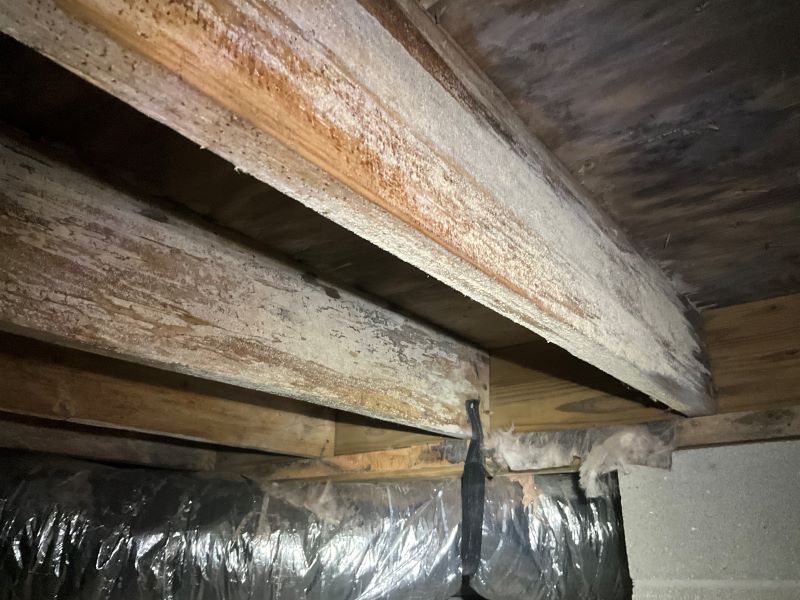 A real photo of mold growth on wooden floor joists in a residential crawl space, showing dark spotting and damp wood grain