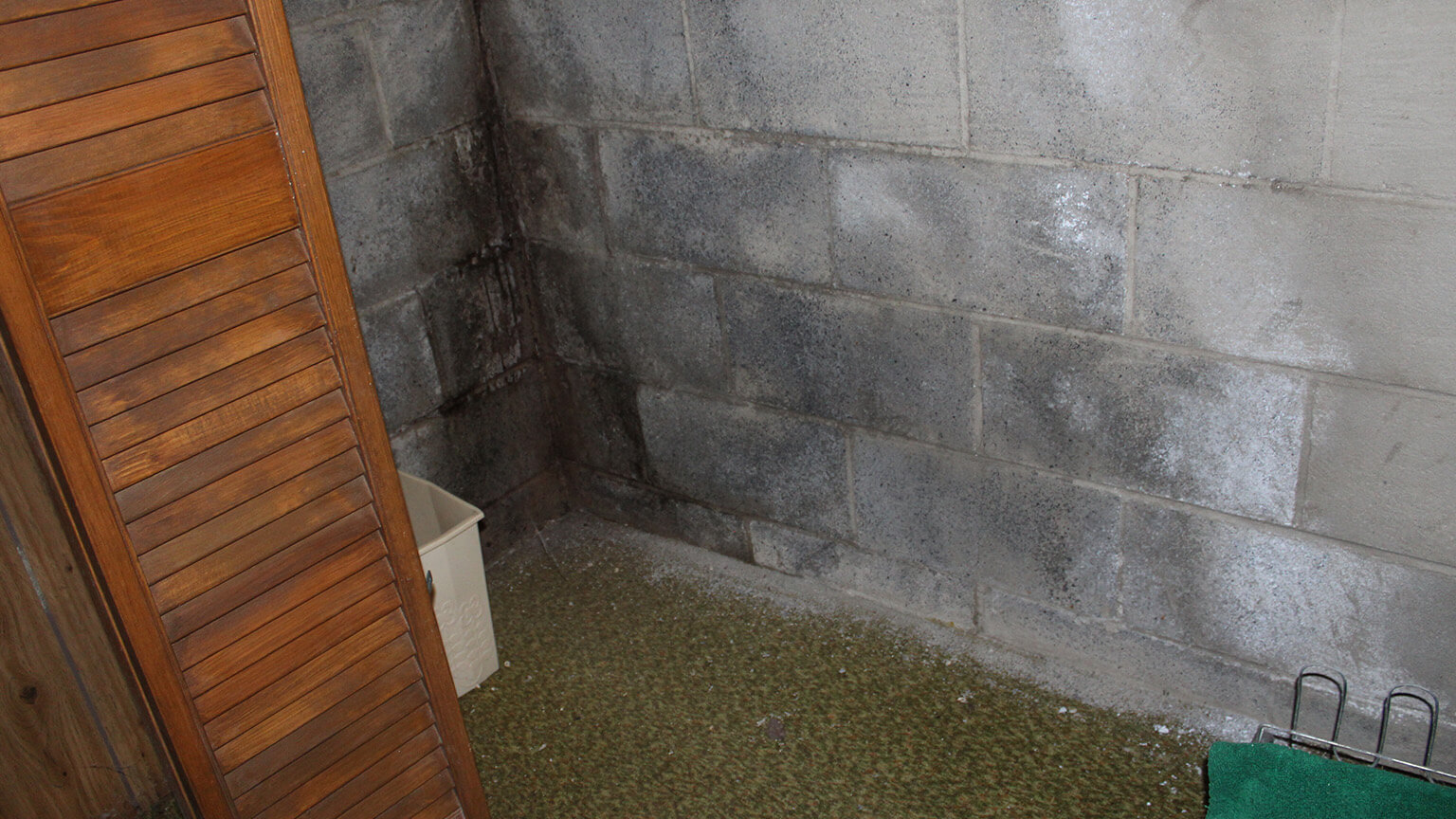 A real photograph of a concrete block basement corner with white efflorescence deposits and a darker damp patch near the floor