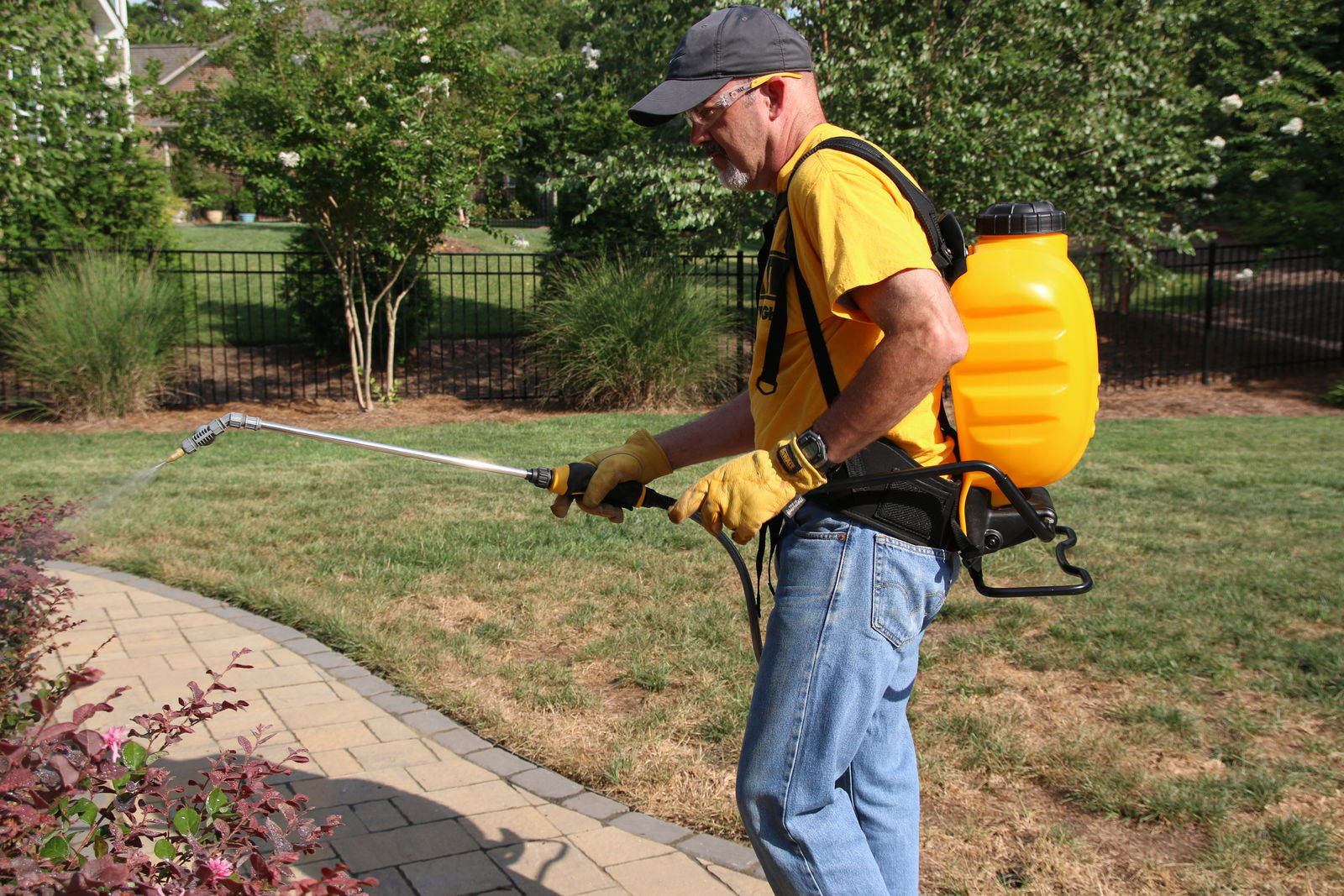 A real photograph of a homeowner wearing long pants and gloves using a backpack sprayer along the edge of a backyard near shrubs on a calm day