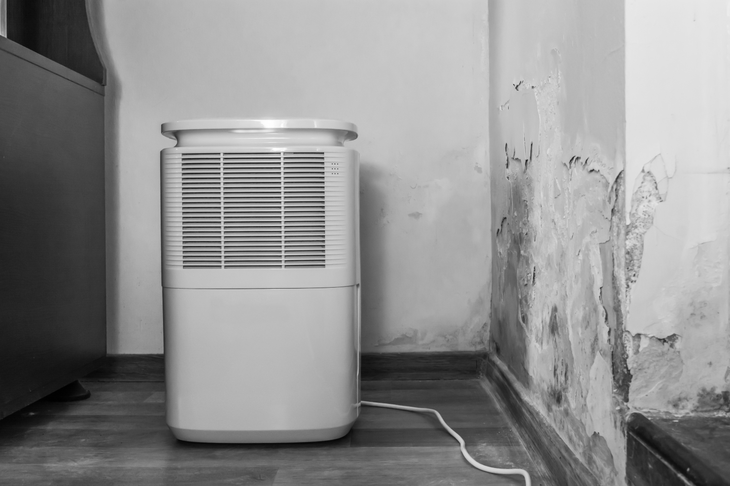 A real photograph of a portable dehumidifier running on a concrete basement floor near a sump pit and storage shelves, ambient low light