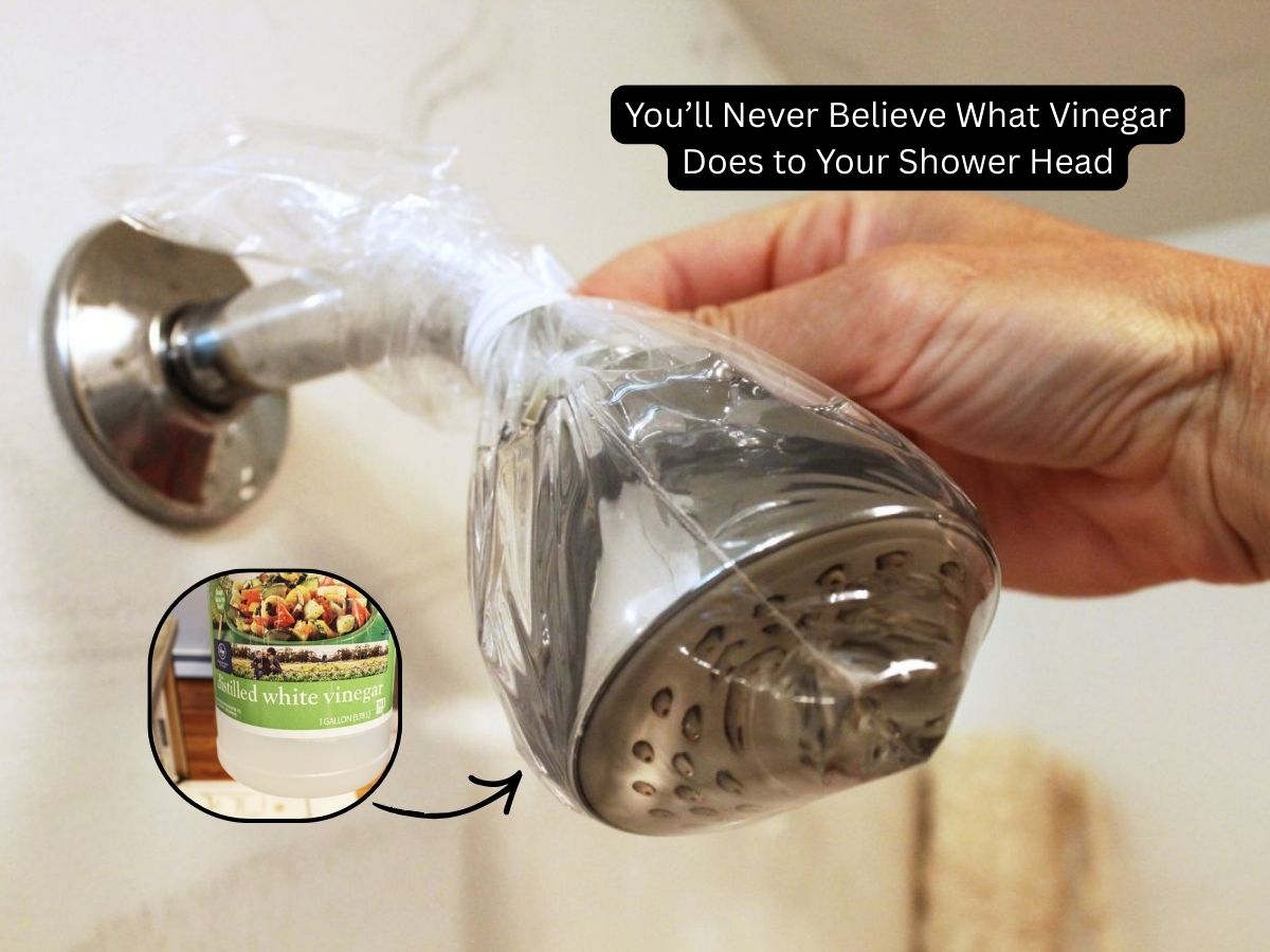 A showerhead sitting in a bowl of white vinegar on a bathroom counter, with mineral residue visible, real-life photo style