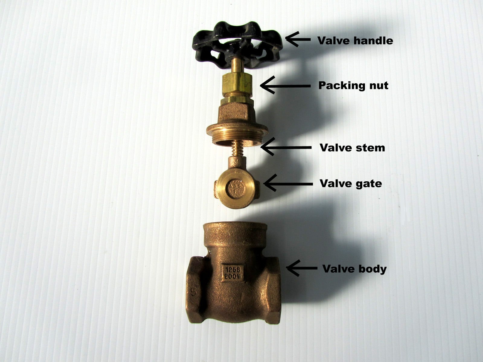 A single photo of an older brass gate valve on a home water main with a round wheel handle and mineral buildup on the valve body