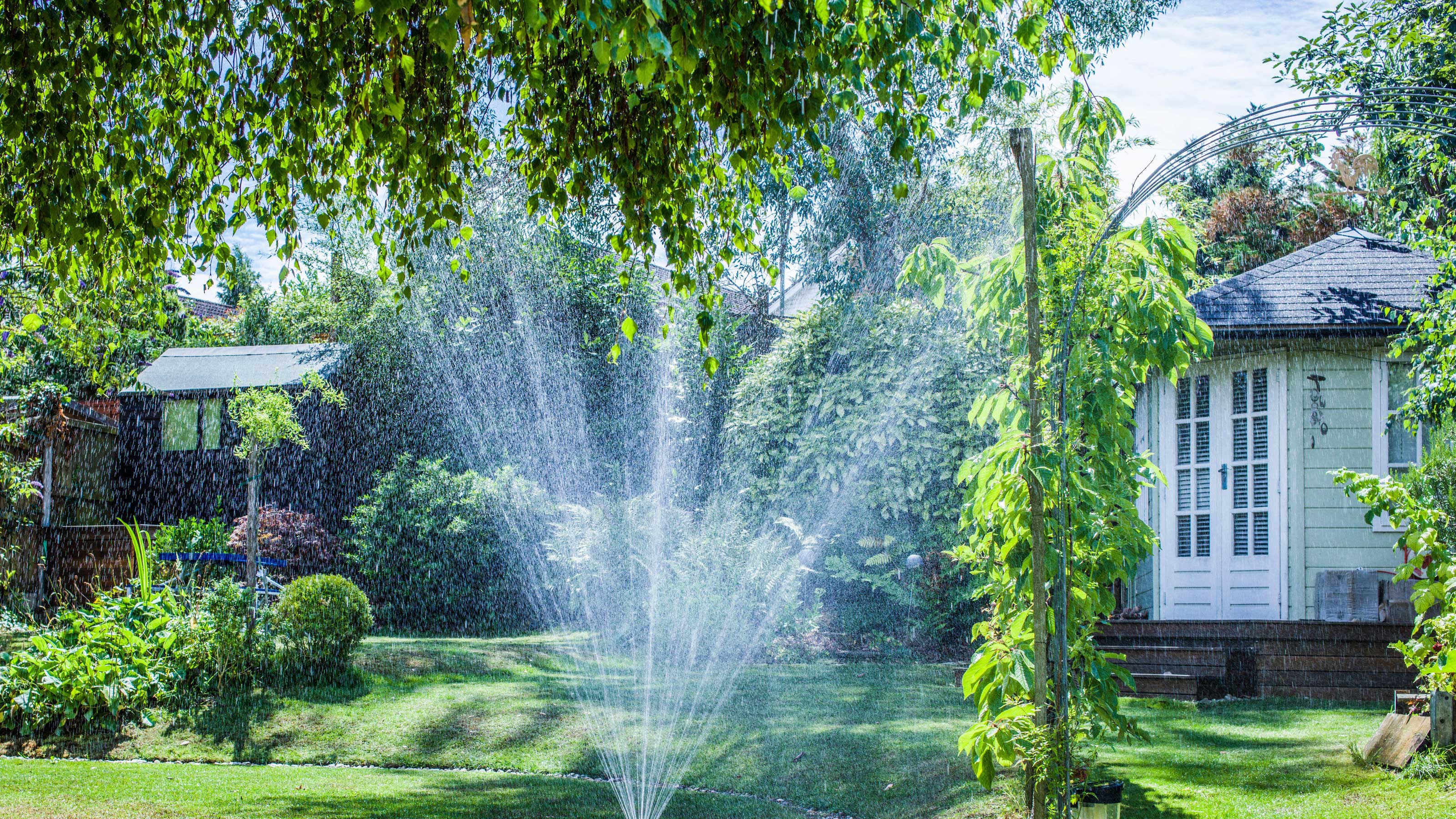 A sprinkler watering a warm-season lawn in early morning light with long shadows