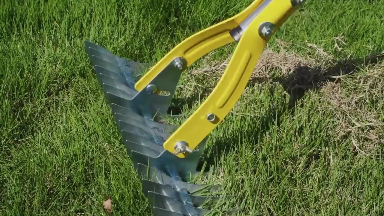 A steel garden rake pulling up dead Creeping Charlie runners and thatch from a bare patch of lawn
