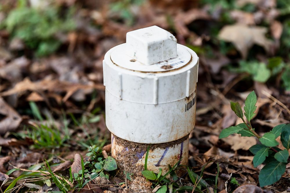 A white PVC sewer cleanout pipe with a threaded cap rising a few inches above grass in a front yard