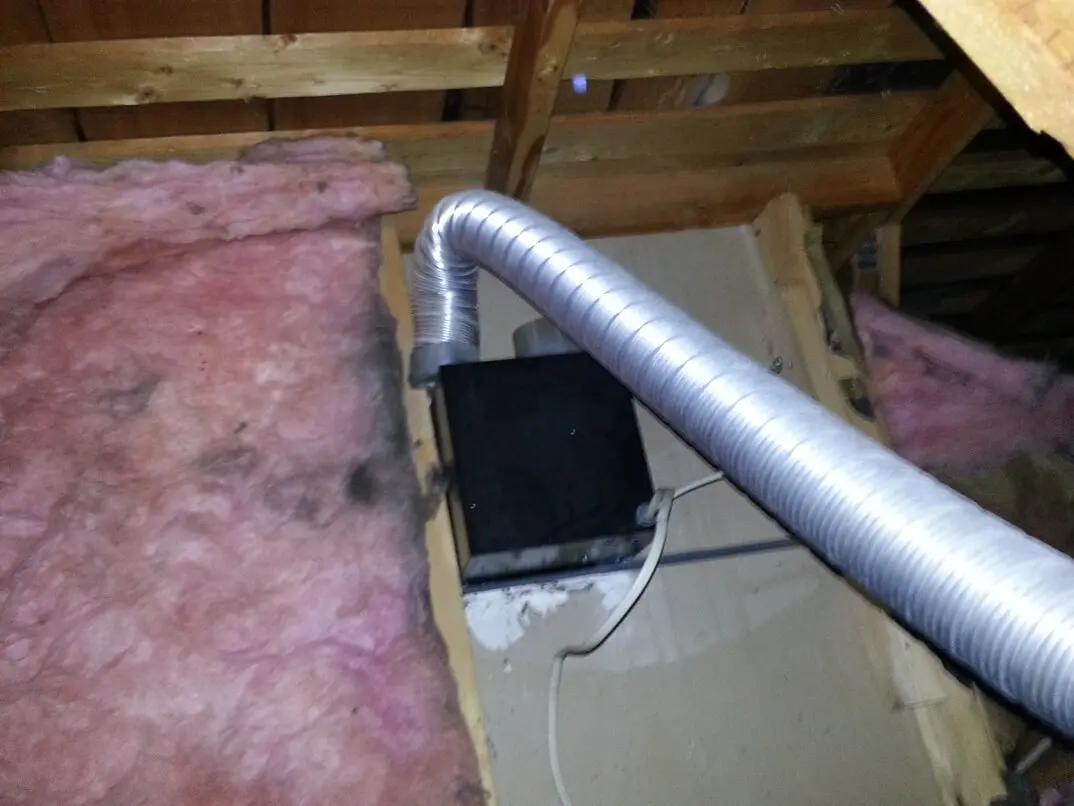 An attic scene where a flexible bathroom exhaust duct has slipped off the fan housing and is venting moist air into the attic insulation
