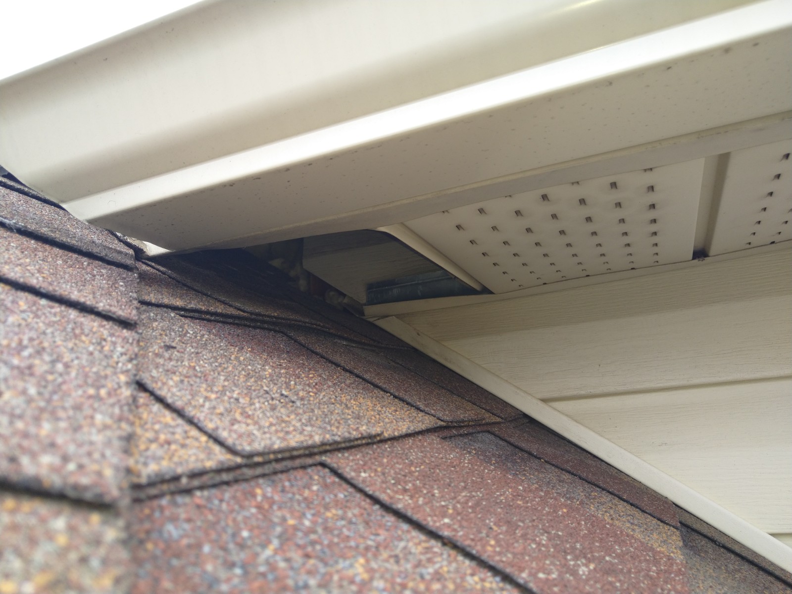 Close-up of a damaged soffit corner on a house with a visible gap large enough for an animal, realistic exterior home photo