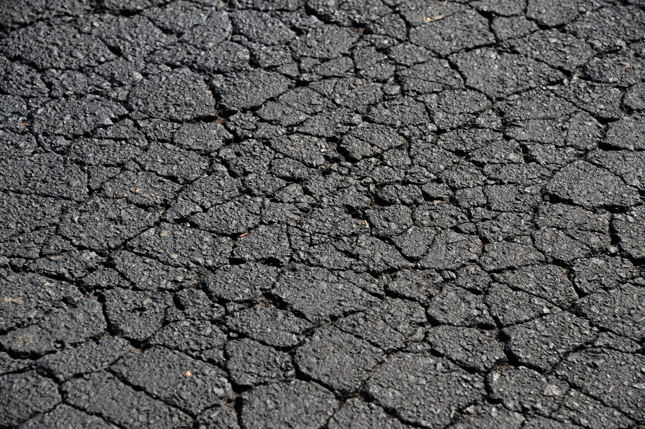 Close-up photo of an asphalt driveway with alligator cracking forming a dense web of small interconnected cracks