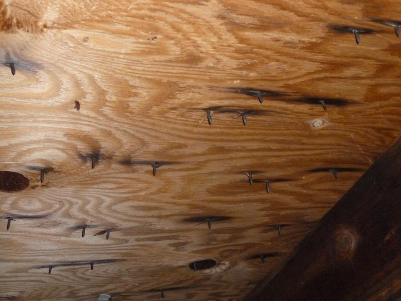 Close-up photo of roof sheathing in an attic with visible rusty nail heads and light staining around fasteners