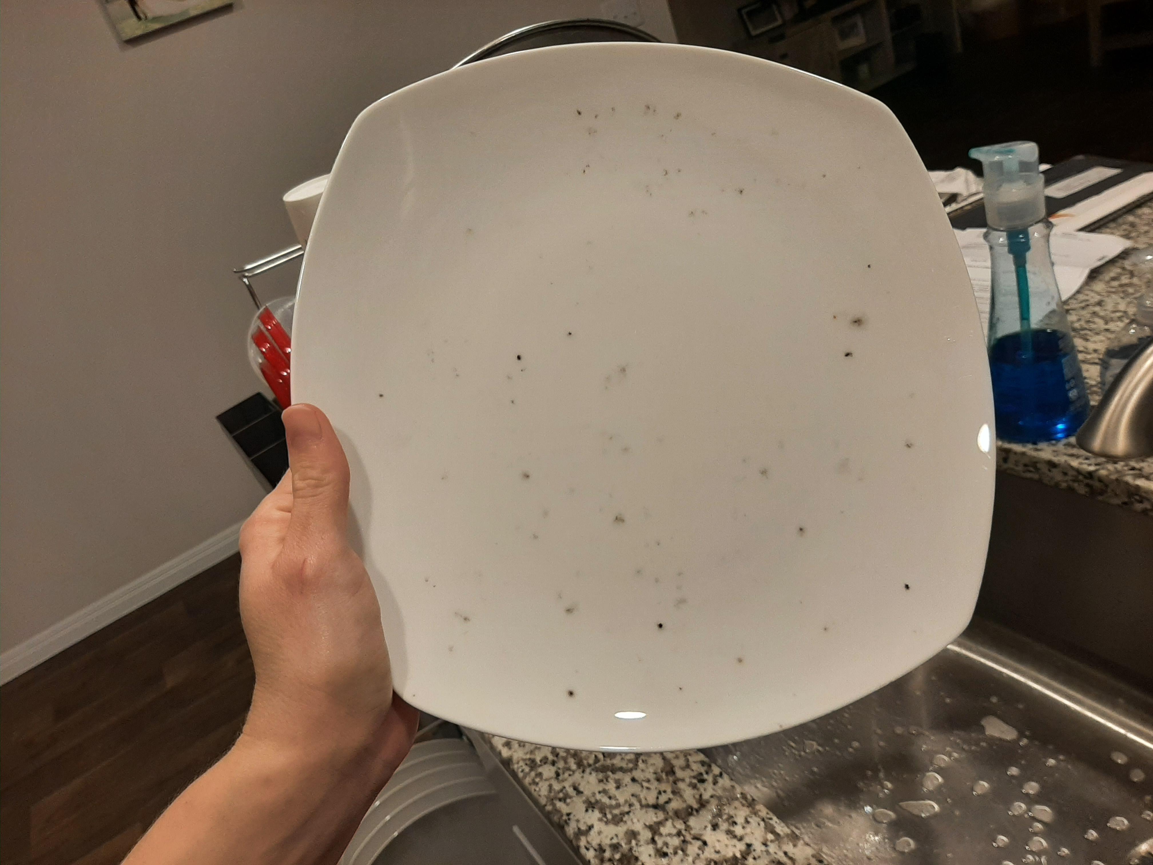 Dishwasher Leaving Black Specks or Grit on Dishes?