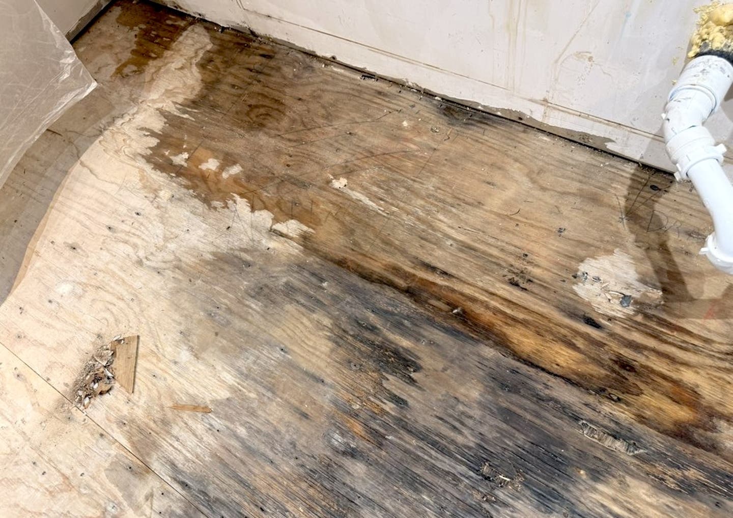 Photo of a vinyl plank plank lifted near a wall revealing damp underlayment and darker stained subfloor beneath